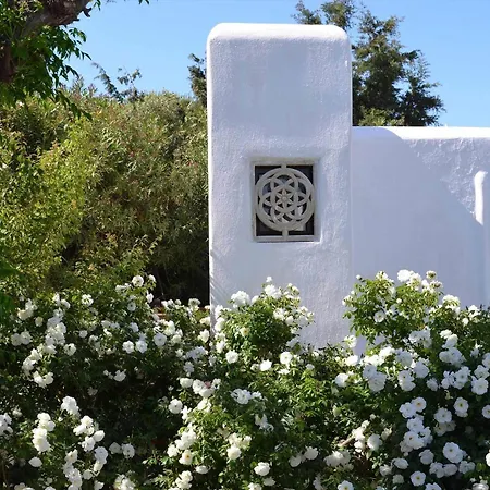 Pinelopi Aparthotel Mykonos Town
